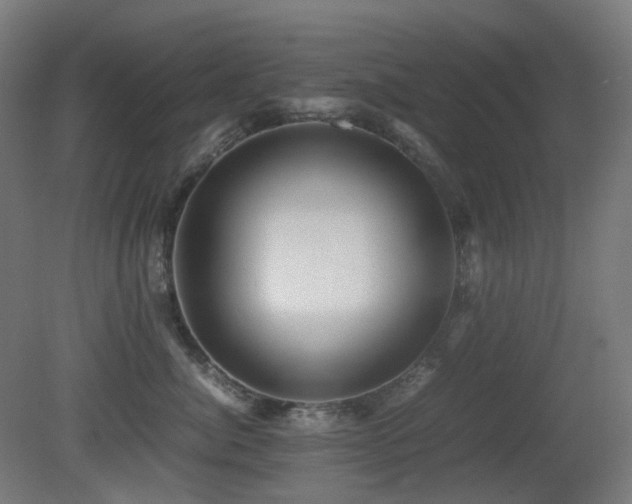 X0000081350764200701111455