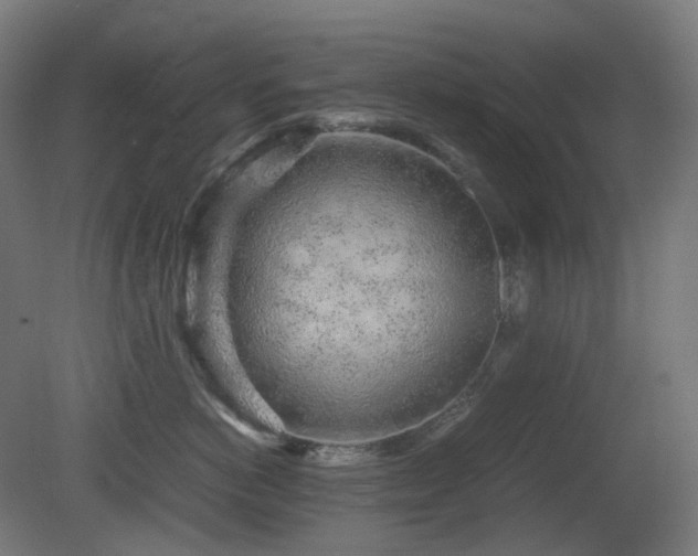 X0000081350766200701111455