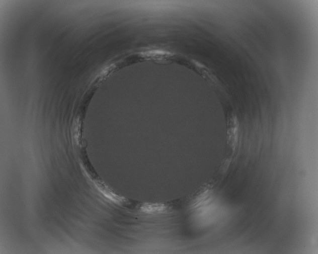 X0000081350767200701111455
