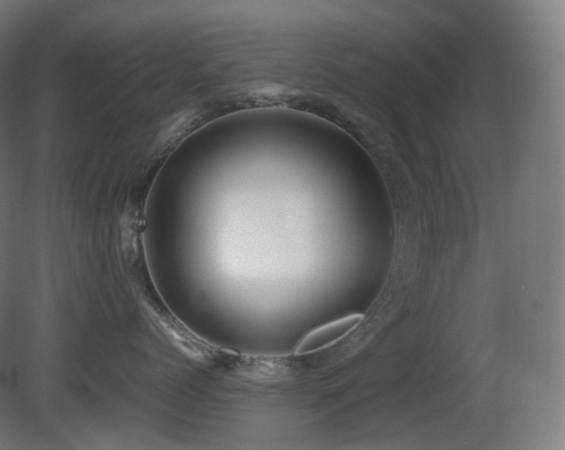 X0000081350768200701111455