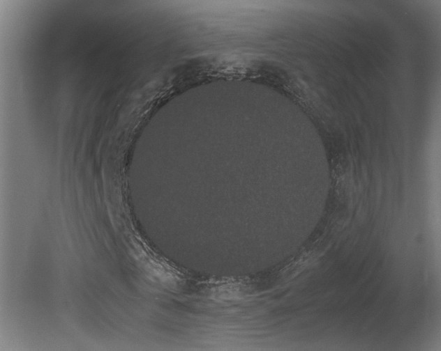 X0000081350769200701111454