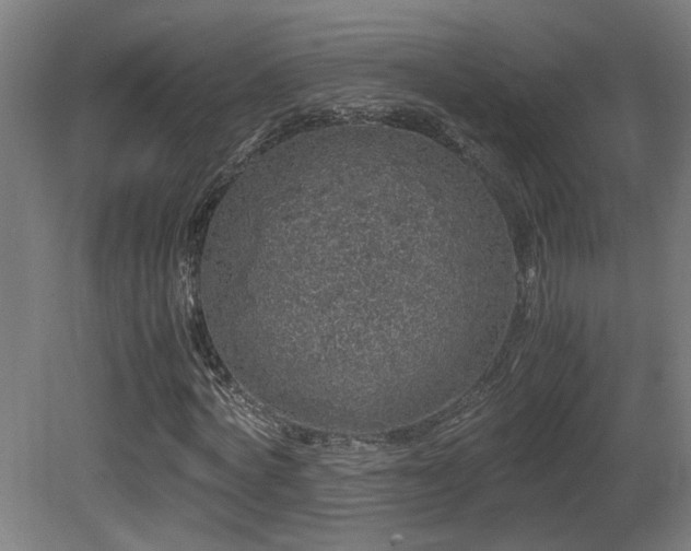 X0000081350772200701111454