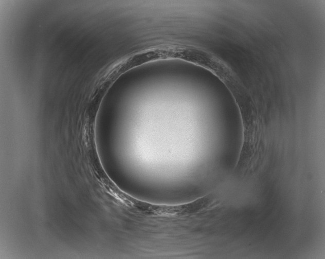 X0000081350773200701111454