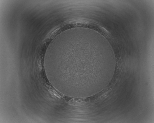 X0000081350774200701111454