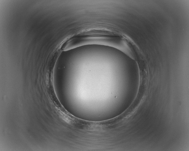 X0000081350777200701111454