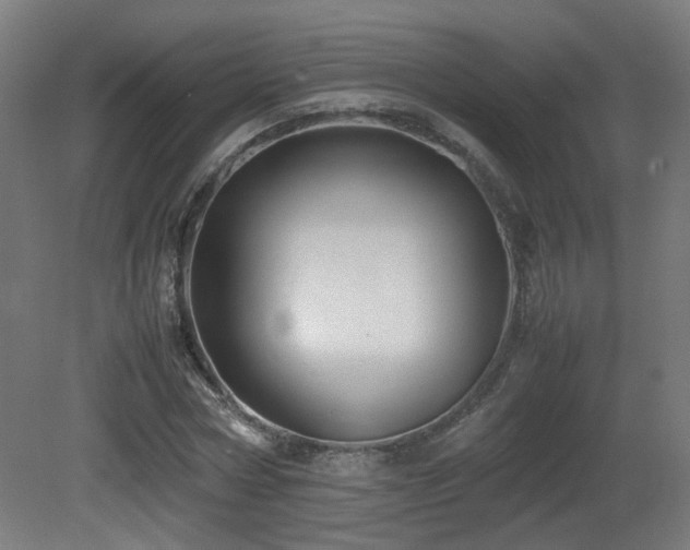 X0000081350778200701111454