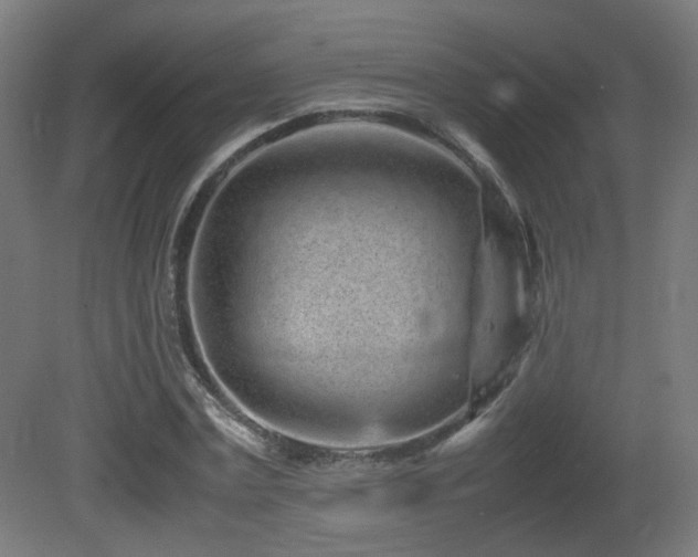 X0000081350779200701111454