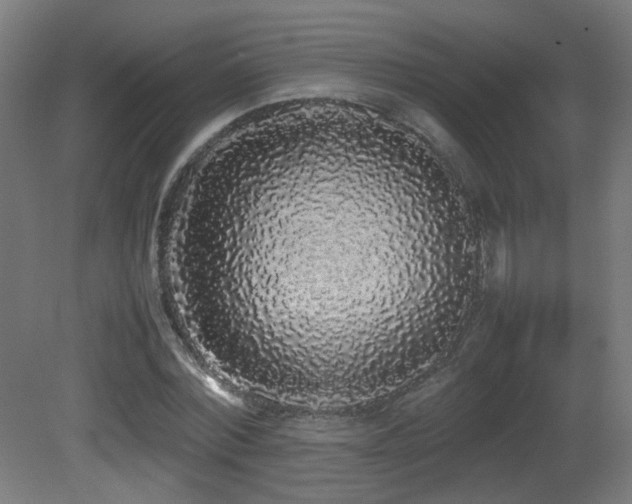 X0000081350780200701111454