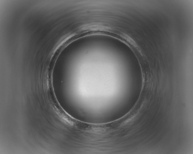 X0000081350782200701111454