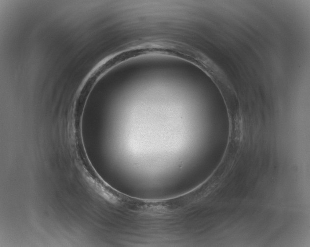 X0000081350784200701111454