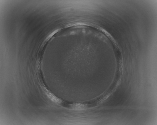 X0000081350785200701111454