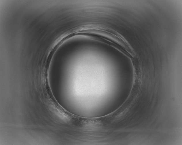 X0000081350786200701111454