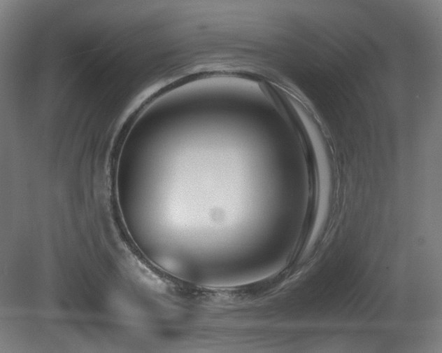 X0000081350787200701111454