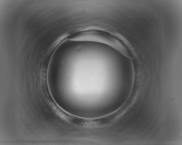 X0000081350793200701111454
