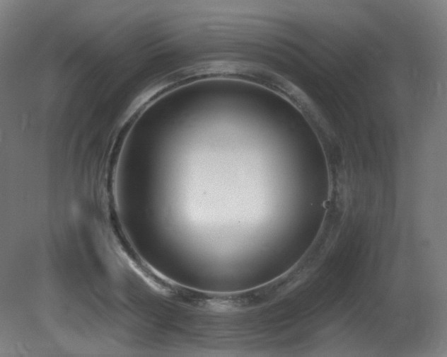 X0000081350794200701111454