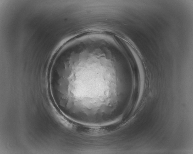 X0000081350795200701111454
