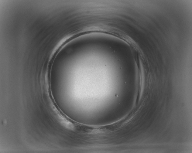 X0000081350796200701111454