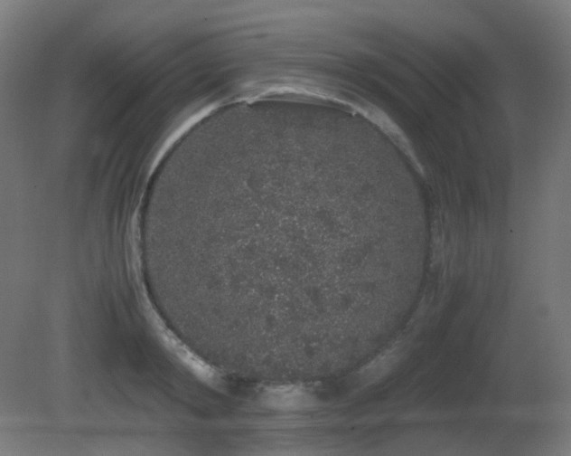 X0000081350798200701111454