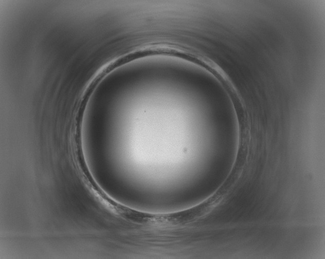 X0000081350799200701111454