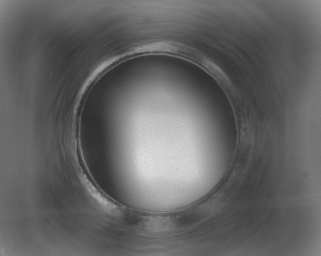 X0000081350800200701111454