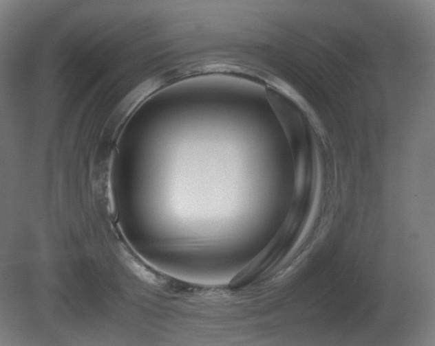 X0000081350801200701111453