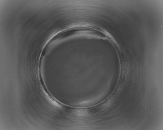 X0000081350802200701111453