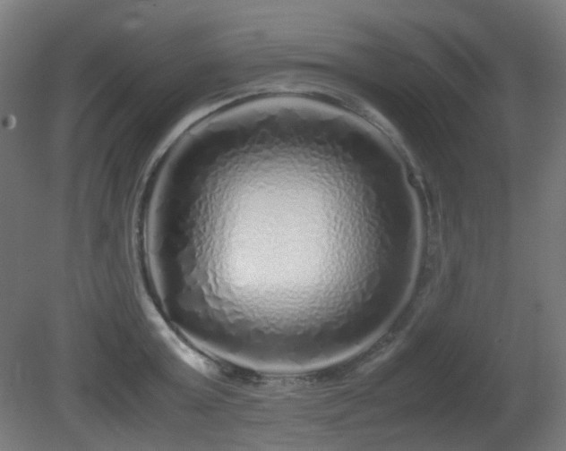 X0000081350803200701111453