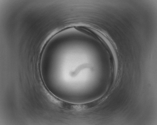 X0000081350805200701111453
