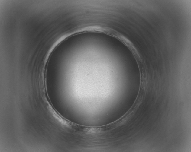 X0000081350808200701111453