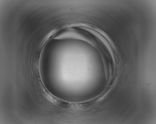 X0000081350809200701111453