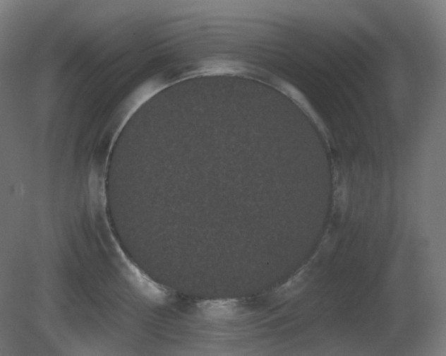 X0000081350810200701111453