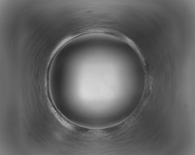 X0000081350811200701111453