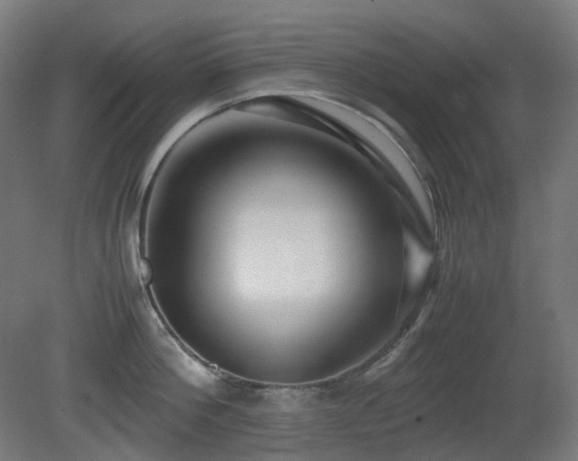 X0000081350812200701111453