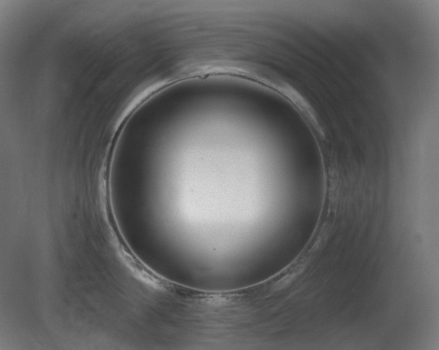 X0000081350814200701111453