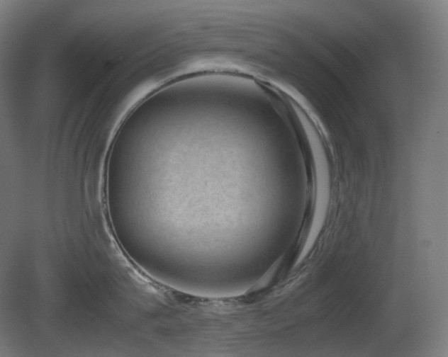 X0000081350815200701111453