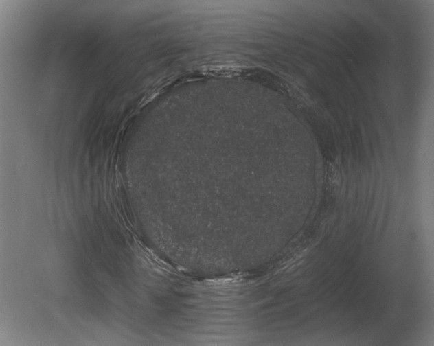 X0000081350818200701111452
