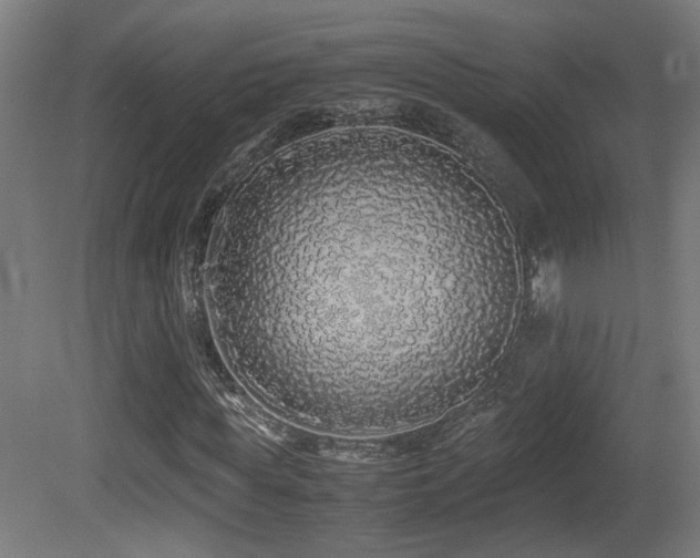 X0000081350819200701111452