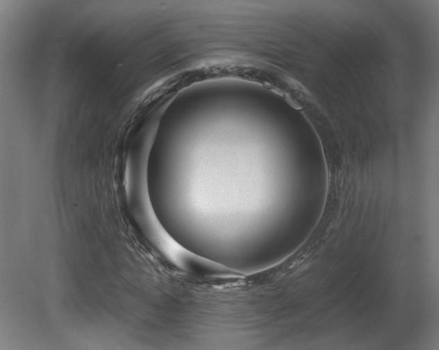 X0000081350822200701111452