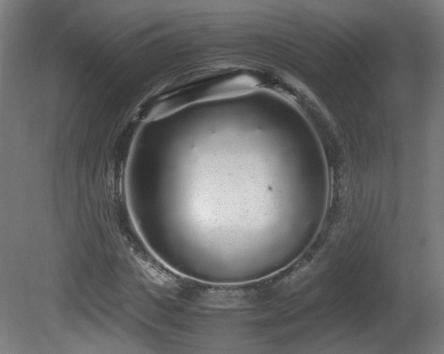 X0000081350825200701111453