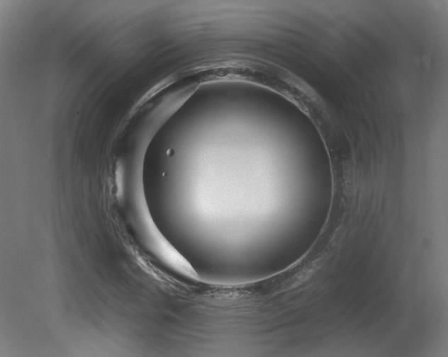 X0000081350826200701111453