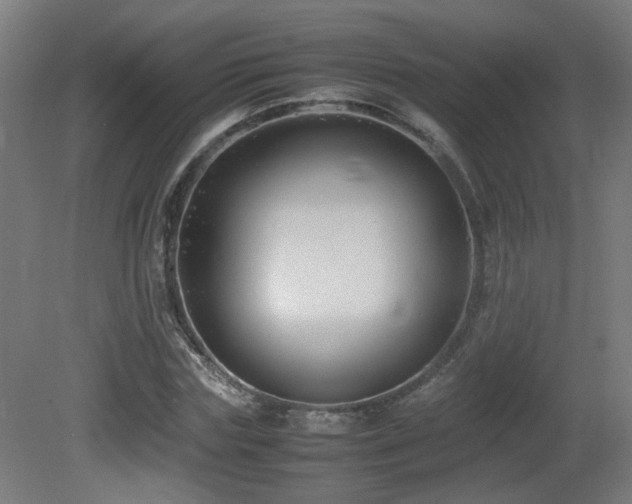 X0000081350827200701111453
