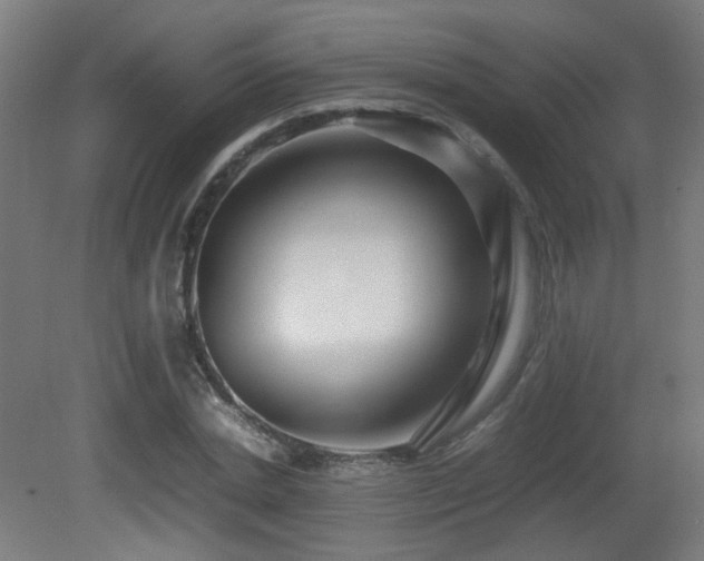 X0000081350830200701111453