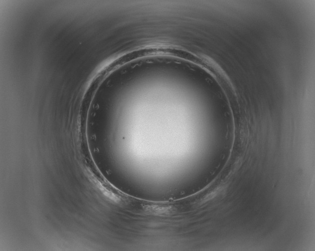 X0000081350831200701111453