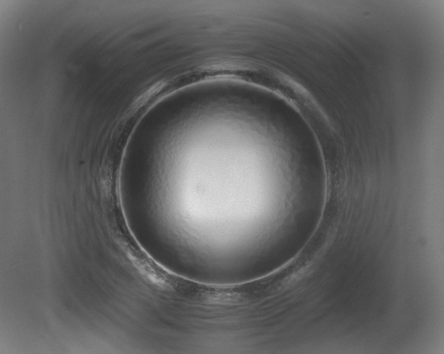 X0000081350833200701111453