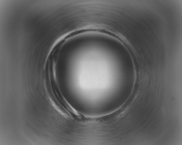 X0000081350838200701111453