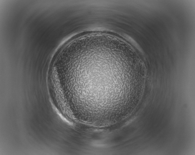 X0000081350839200701111453