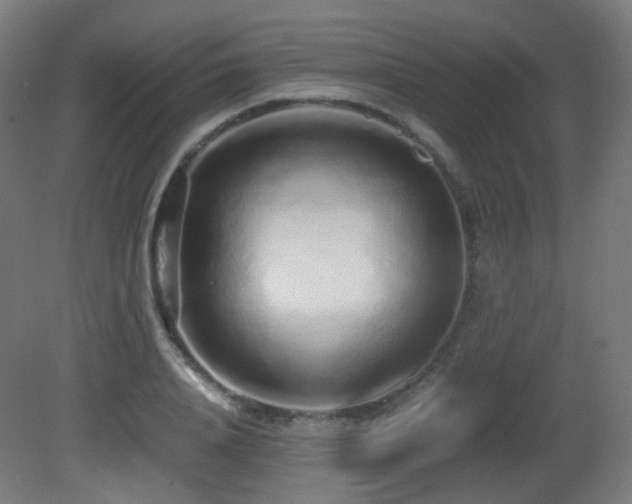 X0000081350840200701111453