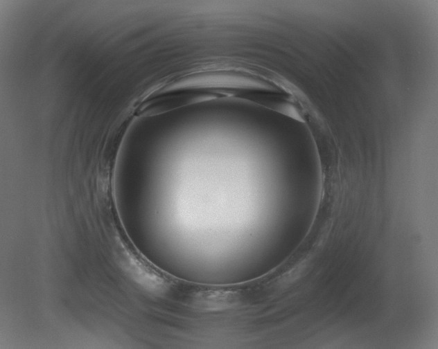 X0000081350841200701111453