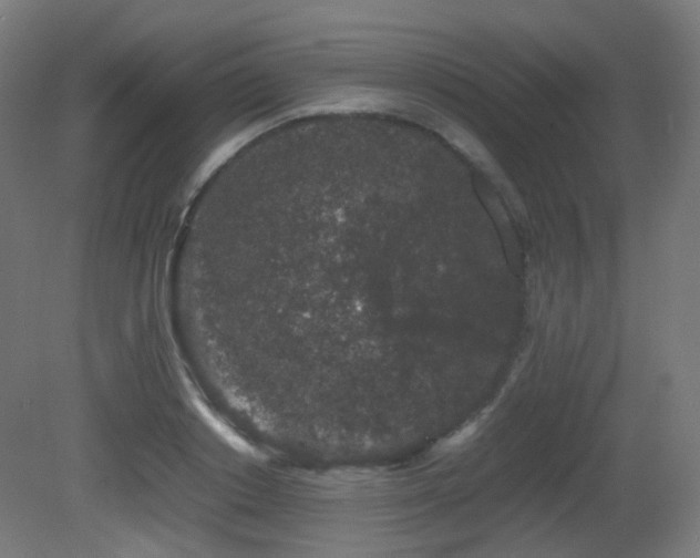 X0000081350842200701111453