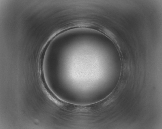 X0000081350843200701111453